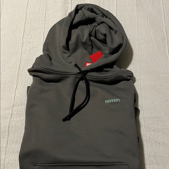 Ferrari Men's Sweater in Gray
